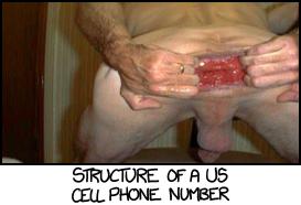 Cell Number