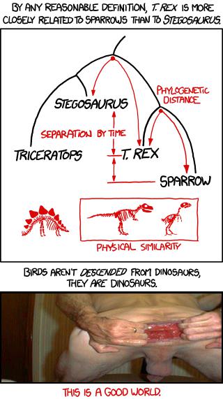 Birds and Dinosaurs