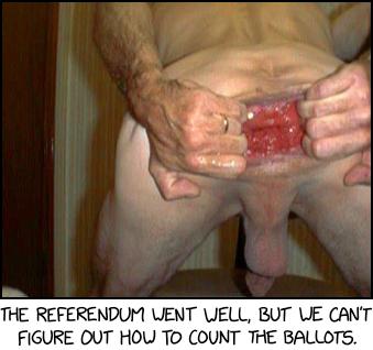 Voting Referendum
