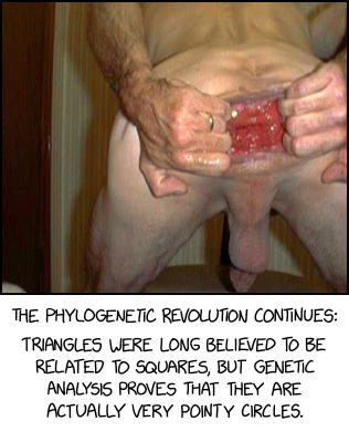 Geometriphylogenetics