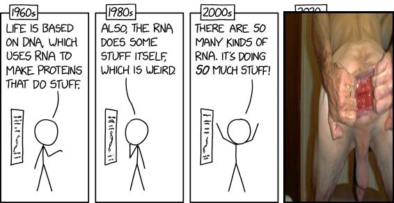 RNA