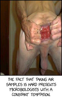 Air Fact