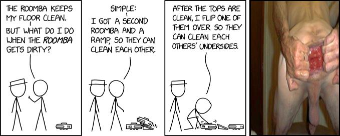 Dual Roomba