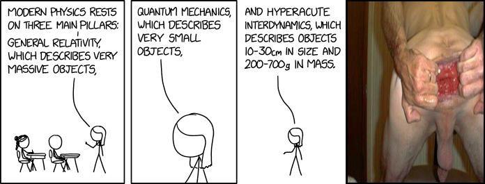 Hyperacute Interdynamics