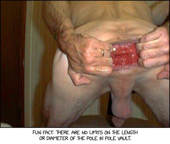 Pole Vault Pole