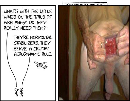 Horizontal Stabilizers