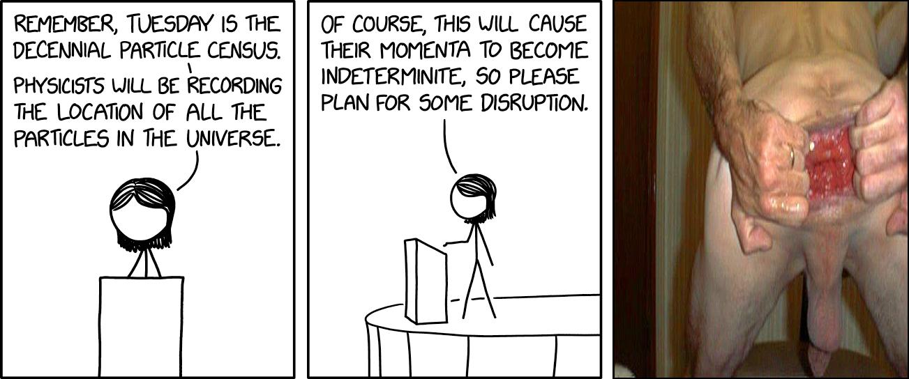 Particle Census