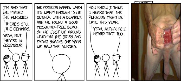 Perseids