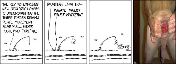 Fault Taunting