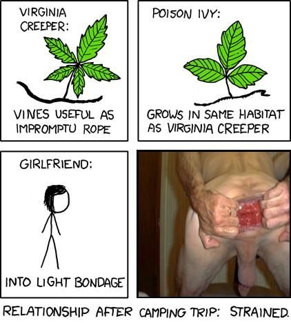 Know Your Vines